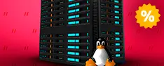VPS (LINUX 2GB)